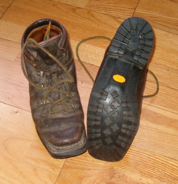Telemark boots